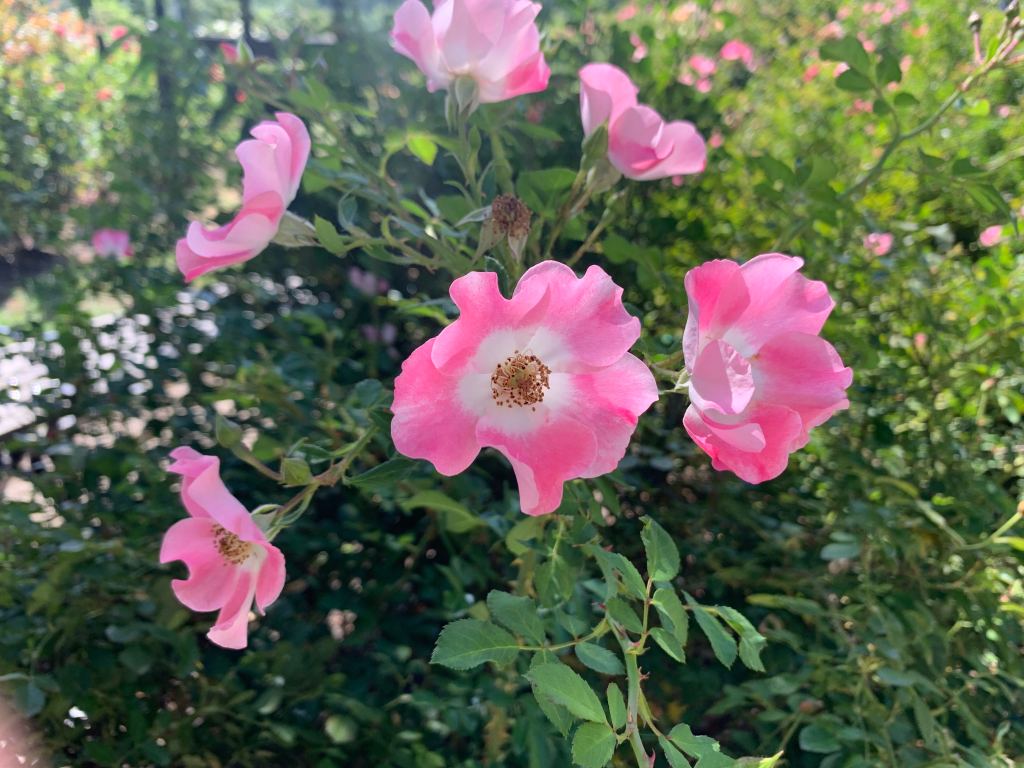 On Finding My&nbsp;Tribe