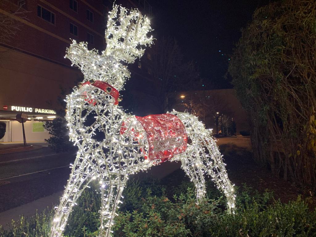 This Week’s Training,&nbsp;Annotated.