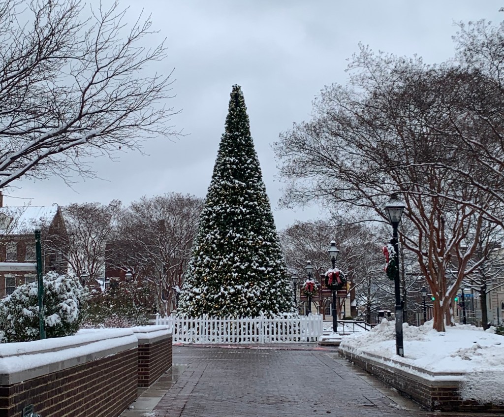 This Week’s Training, Annotated. 