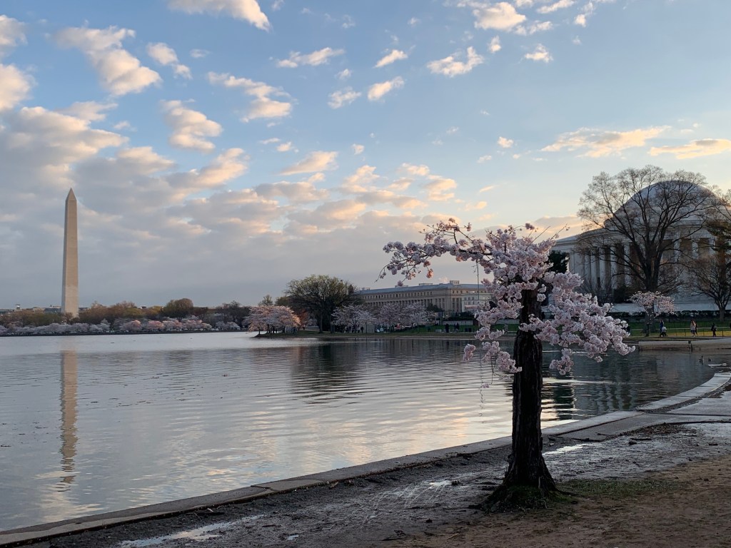 This Week’s Training,&nbsp;Annotated.