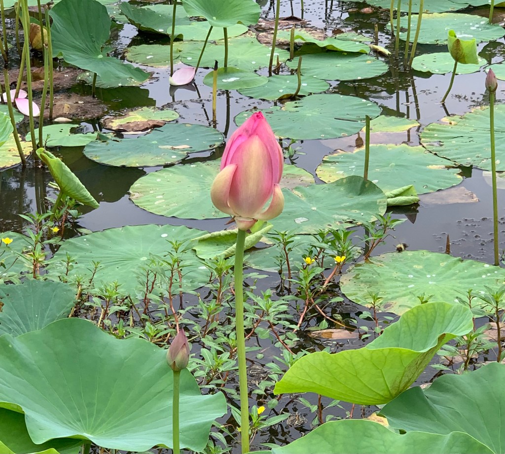 Massage: It’s Not Just Bougie&nbsp;Anymore