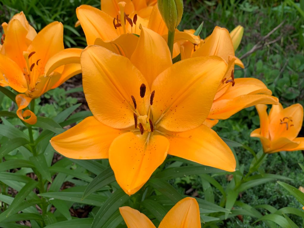 This Week’s Training,&nbsp;Annotated.