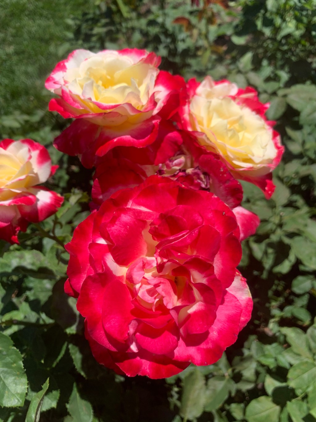 This Week’s Training,&nbsp;Annotated.