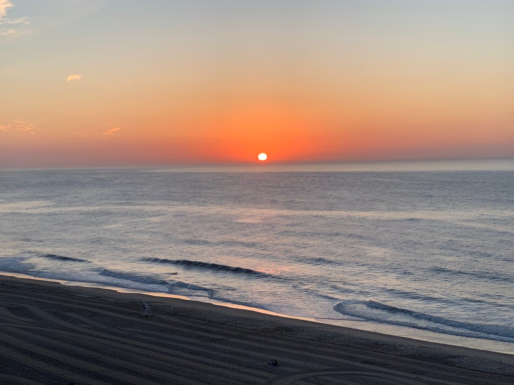 This Week’s Training,&nbsp;Annotated.