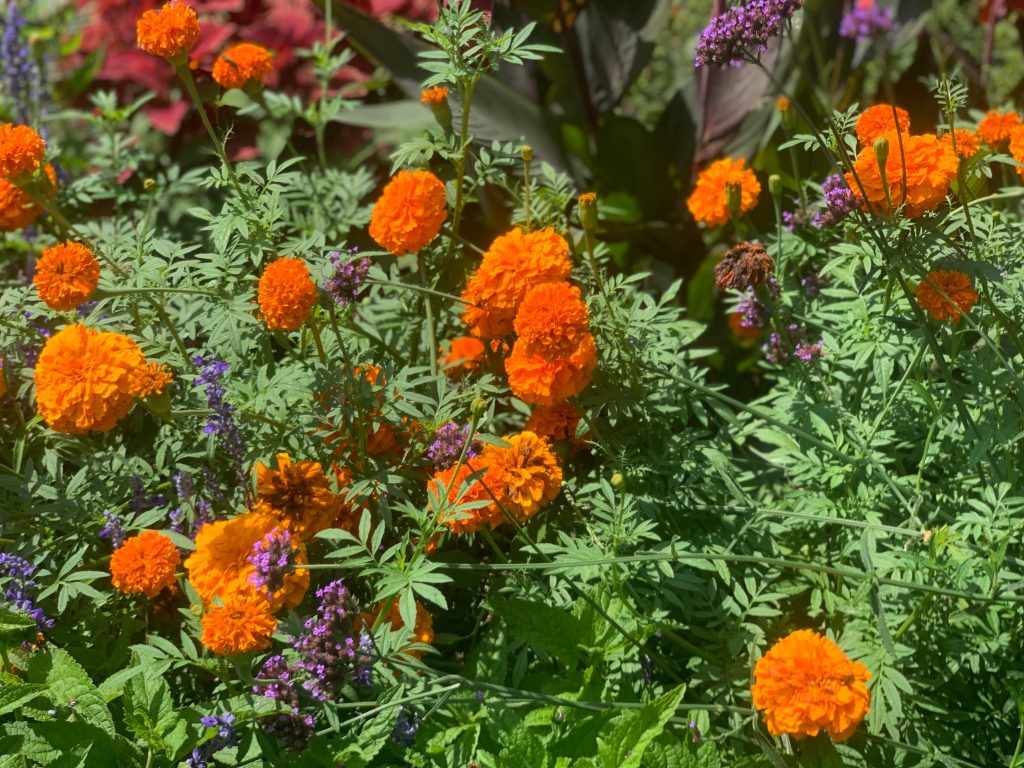 This Week’s Training,&nbsp;Annotated.